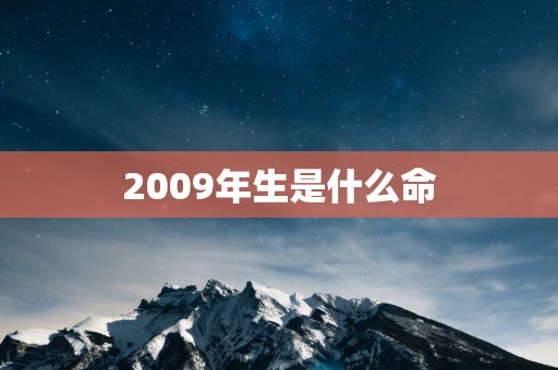 2009年生是什么命