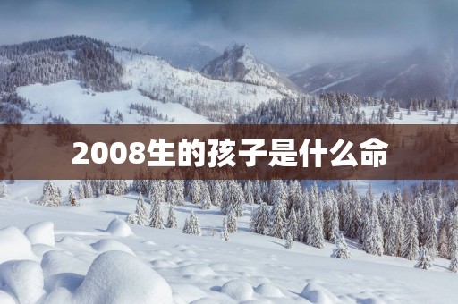 2008生的孩子是什么命