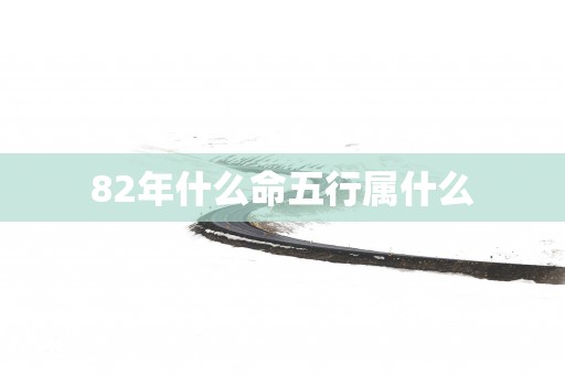 82年什么命五行属什么