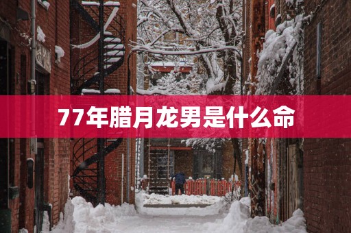 77年腊月龙男是什么命