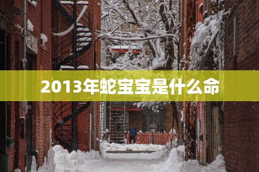 2013年蛇宝宝是什么命