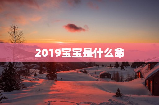 2019宝宝是什么命