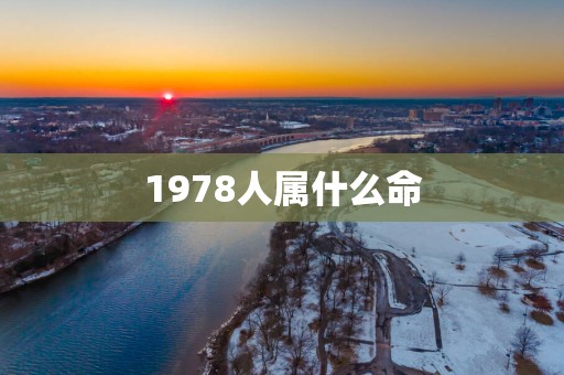 1978人属什么命