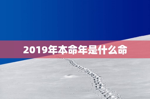 2019年本命年是什么命