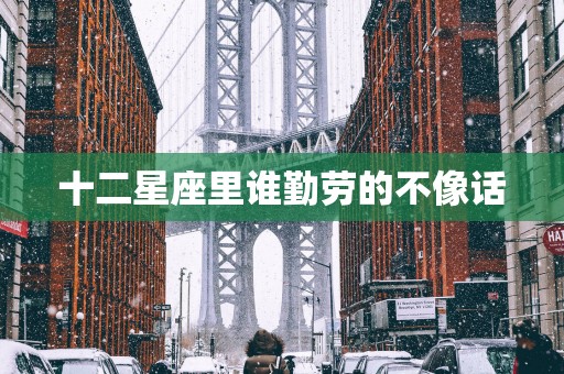 十二星座里谁勤劳的不像话