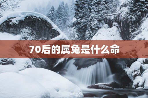 70后的属兔是什么命