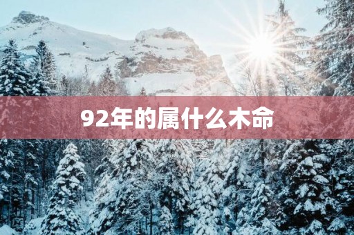 92年的属什么木命