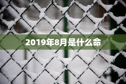 2019年8月是什么命