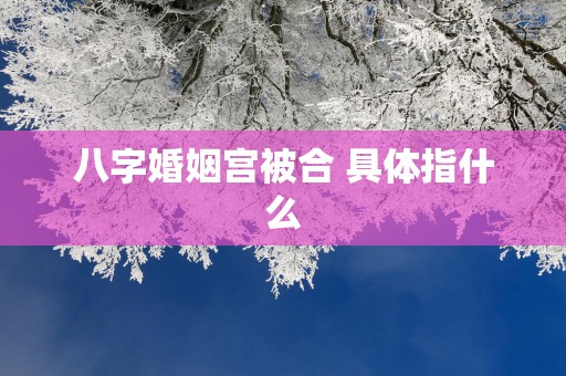 八字婚姻宫被合 具体指什么