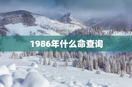 1986年什么命查询