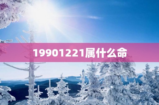 19901221属什么命