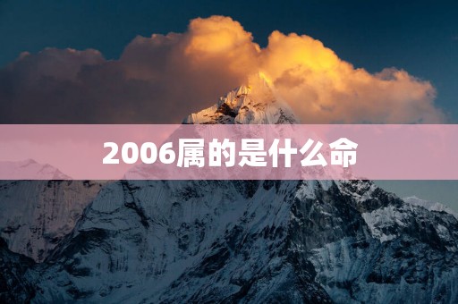 2006属的是什么命