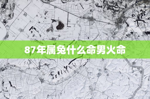 87年属兔什么命男火命