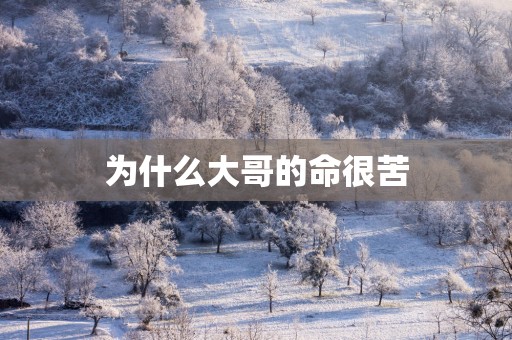 为什么大哥的命很苦