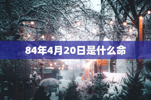 84年4月20日是什么命