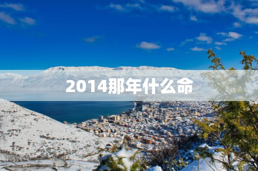 2014那年什么命