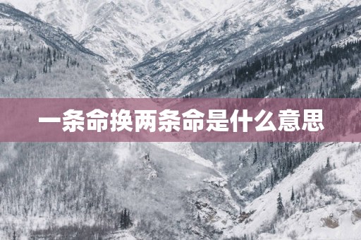 一条命换两条命是什么意思
