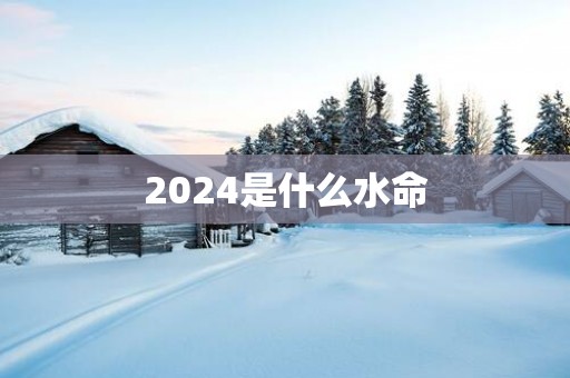 2025是什么水命