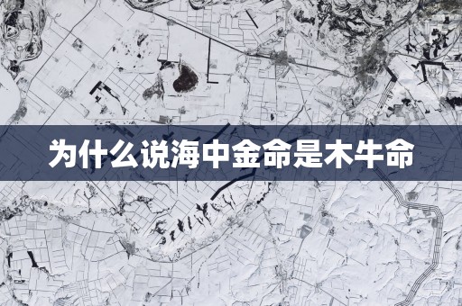 为什么说海中金命是木牛命