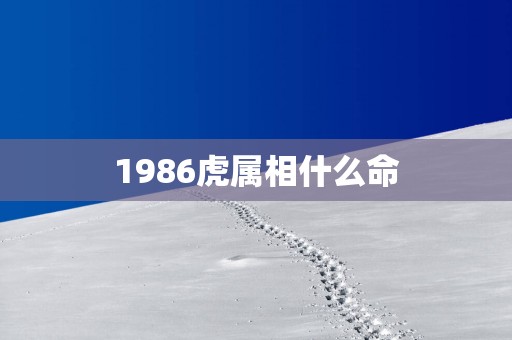 1986虎属相什么命