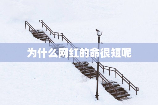 为什么网红的命很短呢