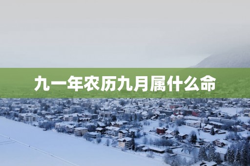 九一年农历九月属什么命