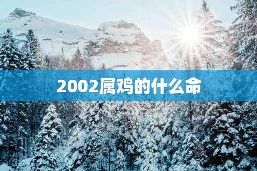 2002属鸡的什么命
