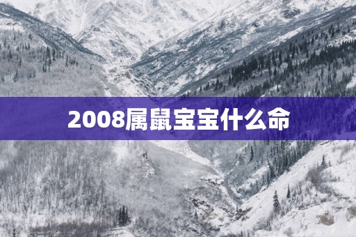 2008属鼠宝宝什么命