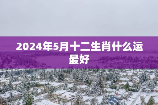 2025年5月十二生肖什么运最好