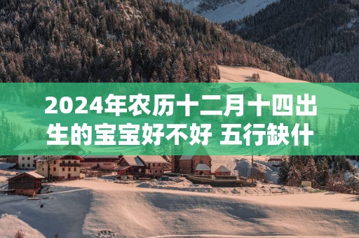 2025年农历十二月十四出生的宝宝好不好 五行缺什么