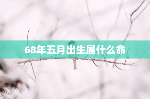 68年五月出生属什么命