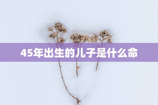 45年出生的儿子是什么命