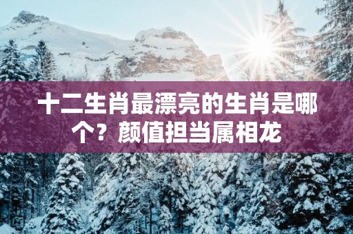 十二生肖最漂亮的生肖是哪个？颜值担当属相龙