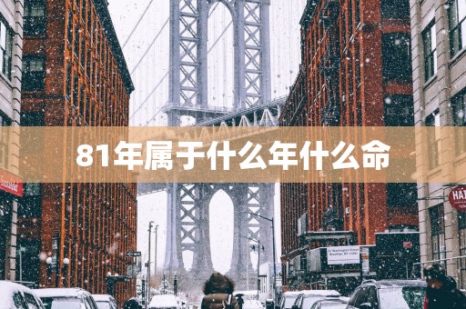 81年属于什么年什么命