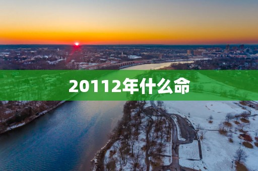 20112年什么命