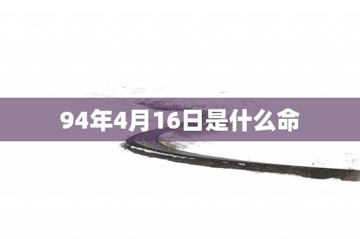 94年4月16日是什么命