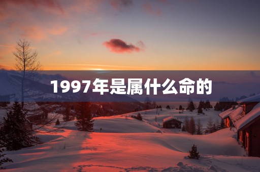 1997年是属什么命的