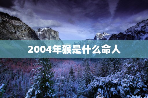 2004年猴是什么命人
