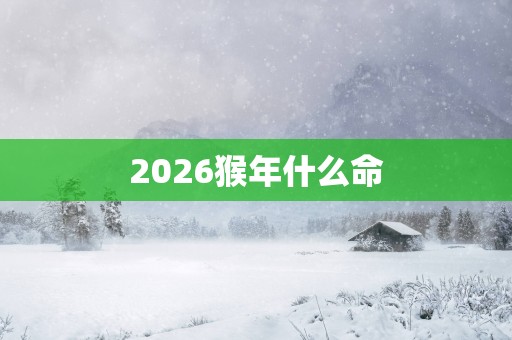 2026猴年什么命