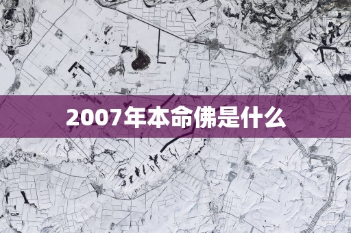 2007年本命佛是什么