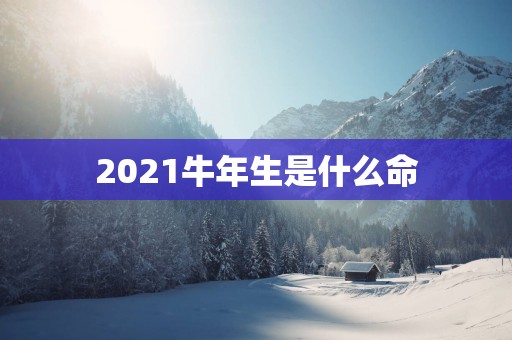 2021牛年生是什么命