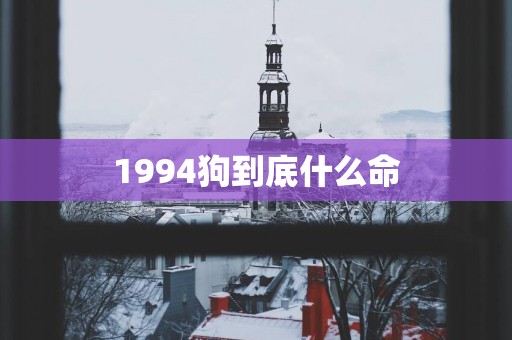 1994狗到底什么命