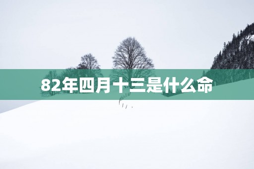 82年四月十三是什么命
