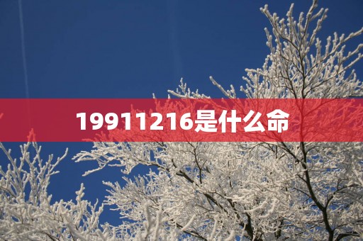 19911216是什么命