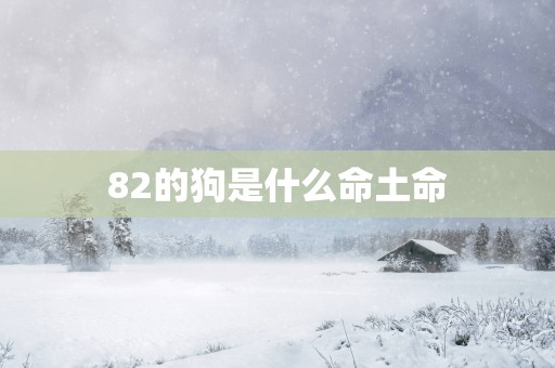 82的狗是什么命土命