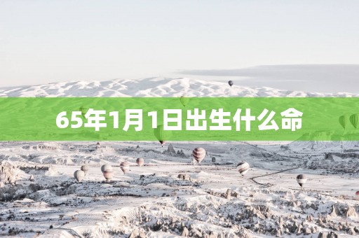 65年1月1日出生什么命