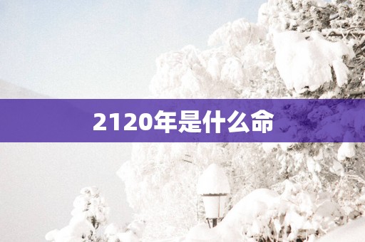 2120年是什么命