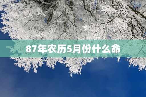 87年农历5月份什么命