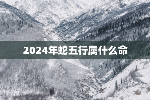 2024年蛇五行属什么命