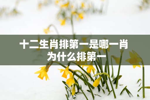 十二生肖排第一是哪一肖  为什么排第一